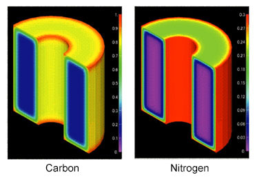 Carbon Nitrogen